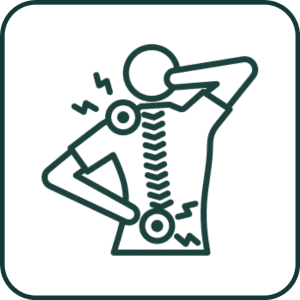 Physical Therapy for Back Pain