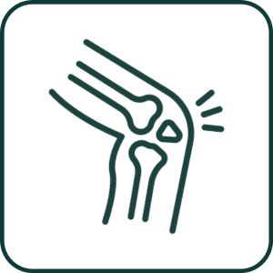 Physical Therapy for Knee Pain
